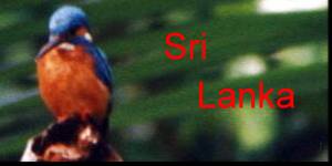 Fototour Sri Lanka