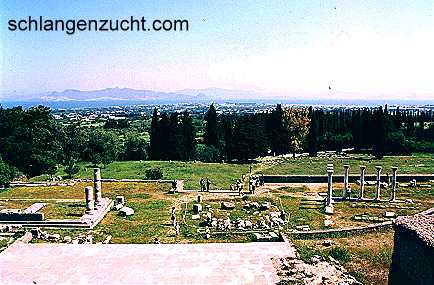 Die dritten Terrasse mit Blick auf Kos-Stadt, Apollon Tempel rechts, Asklipios Tempel links.